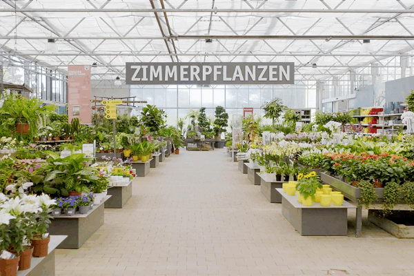 Bild 3 von Sauter Grün erleben GmbH & Co. KG
