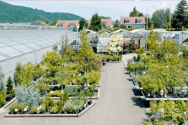 Bild 4 von Sauter Grün Erleben Gmbh & Co. Kg