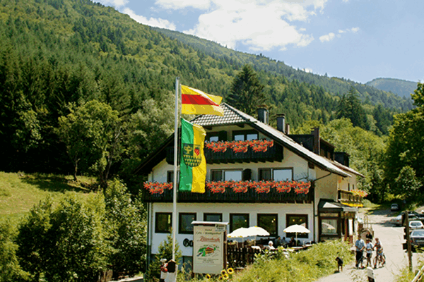 Bild 1 von Hotel - Waldgasthof - Café Altersbach